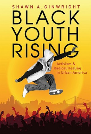 Книга Black Youth Rising Shawn A. Ginwright