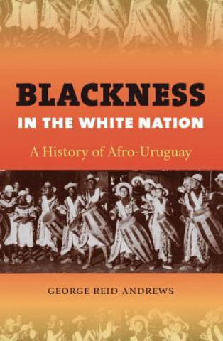 Kniha Blackness in the White Nation George Reid Andrews