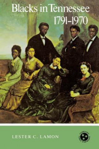 Книга Blacks In Tennessee 1791-1970 Lester C Lamon