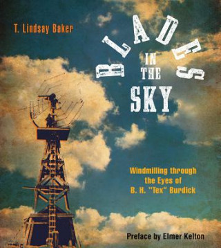 Kniha Blades in the Sky B.H. Burdick