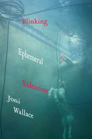 Knjiga Blinking Ephemeral Valentine Joni Wallace