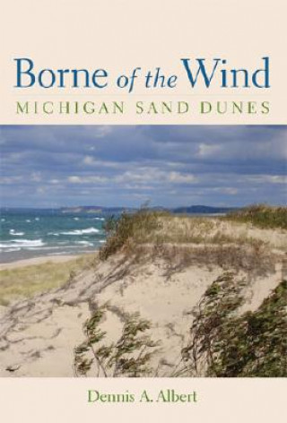 Kniha Borne of the Wind Dennis Albert