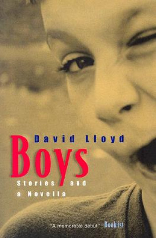 Kniha Boys David Lloyd