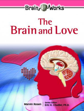 Knjiga Brain and Love Marvin Rosen
