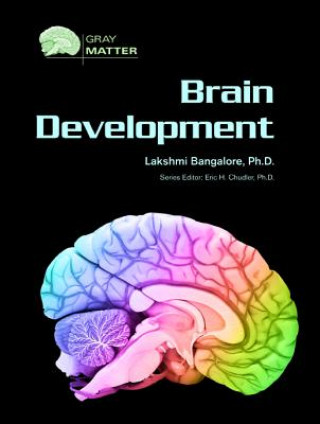 Kniha Brain Development Lakshmi Bangalore
