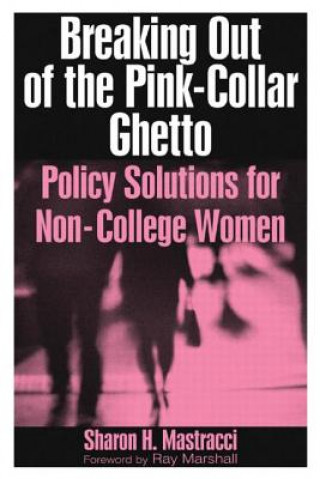 Buch Breaking Out of the Pink-Collar Ghetto Sharon H. Mastracci