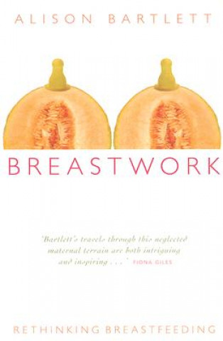 Knjiga Breastwork Alison Bartlett