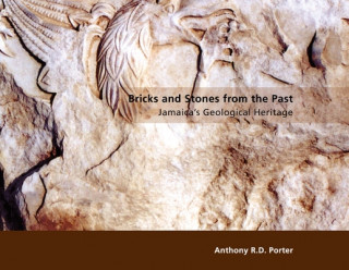 Book Bricks and Stones from the Past Anthony R.D. Porter