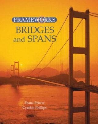 Könyv Bridges and Spans Shana Priwer