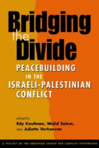 Knjiga Bridging the Divide 