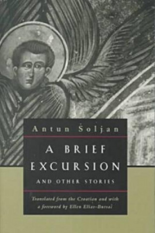 Kniha Brief Excursion and Other Stories Antun Šoljan