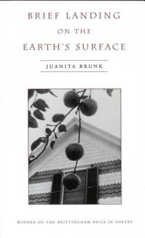 Kniha Brief Landing on the Earth's Surface Juanita Brunk