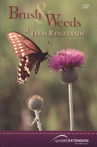 Kniha Brush and Weeds of Texas Rangelands Allan McGinty