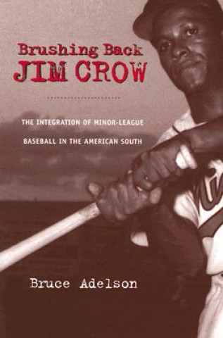 Book Brushing Back Jim Crow Bruce Adelson