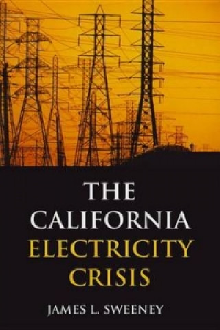 Книга California Electricity Crisis James L Sweeny