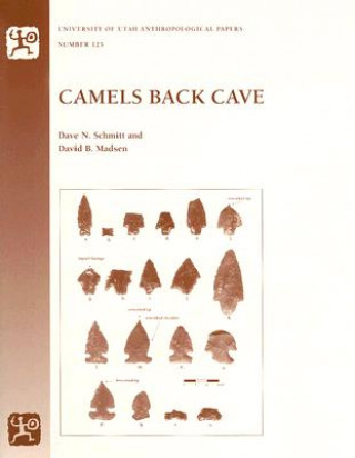 Carte Camels Back Cave David B Madsen