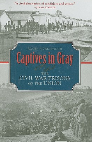 Buch Captives in Gray Roger Pickenpaugh