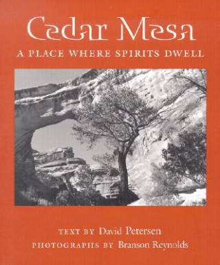 Libro Cedar Mesa Branson Reynolds