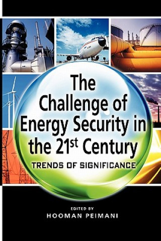 Kniha Challenge of Energy Security in the 21st Century Pelmani