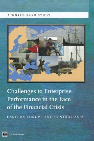 Könyv Challenges to Enterprise Performance in the Face of the Financial Crisis World Bank