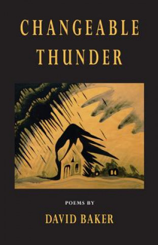 Kniha Changeable Thunder David Baker