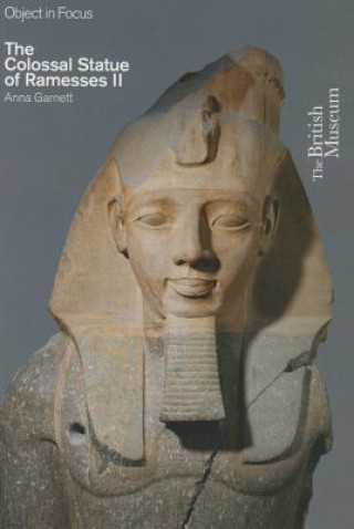 Kniha Colossal Statue of Ramesses II Anna Garnett