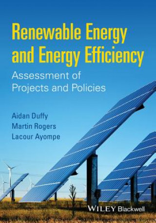 Kniha Renewable Energy and Energy Efficiency Aidan Duffy