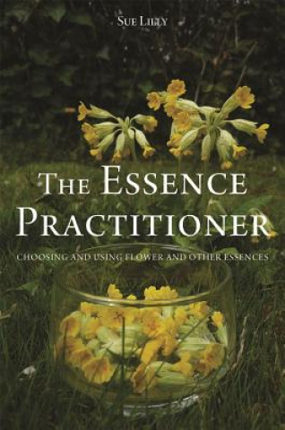 Book Essence Practitioner Sue Lilly