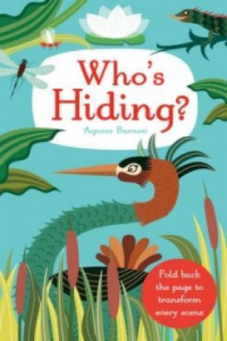 Kniha Who's Hiding? Jenny Broom