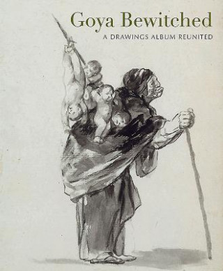 Kniha Goya Juliet Wilson-Bareau