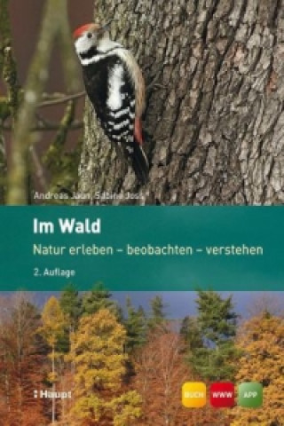 Könyv Im Wald Andreas Jaun