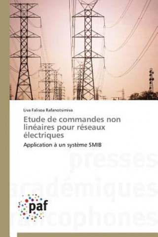 Knjiga Etude de Commandes Non Lineaires Pour Reseaux Electriques Liva Falisoa Rafanotsimiva