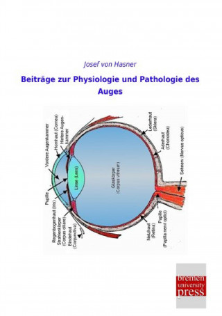 Book Beiträge zur Physiologie und Pathologie des Auges Josef von Hasner