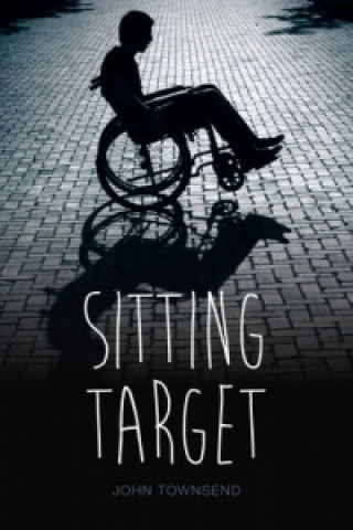 Kniha Sitting Target John Townsend