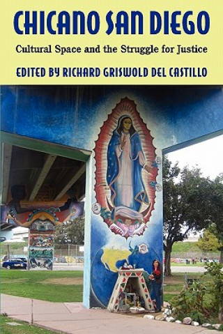 Book Chicano San Diego Richard Griswold del Castillo