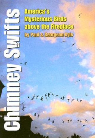 Buch Chimney Swifts Georgean Z. Kyle