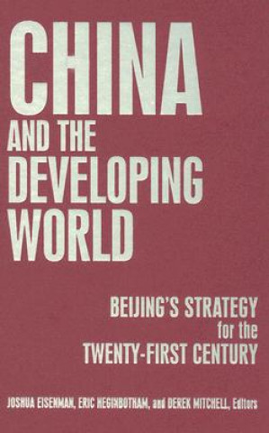 Könyv China and the Developing World 
