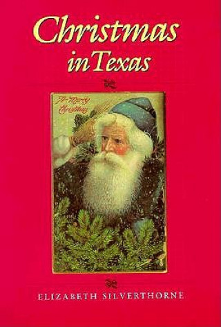 Kniha Christmas in Texas Elizabeth Silverthorne
