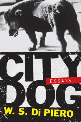 Kniha City Dog W.S. Di Piero