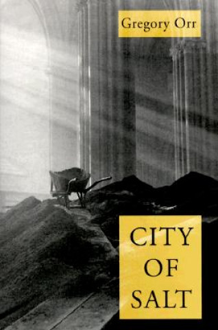 Libro City Of Salt Gregory Orr