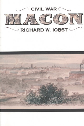 Книга Civil War Macon Richard William Iobst