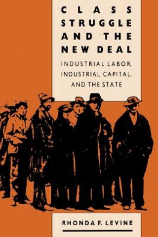 Kniha Class Struggle and the New Deal Rhonda F. Levine