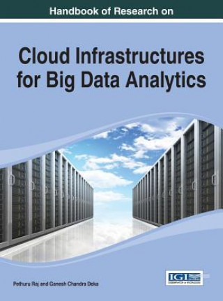 Könyv Cloud Infrastructures for Big Data Analytics Raj