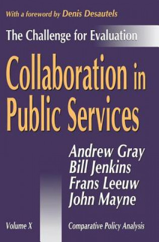 Kniha Collaboration in Public Services Bill Jenkins