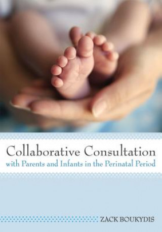 Kniha Collaborative Consultation with Parents and Infants in the Perinatal Period Zack Boukydis