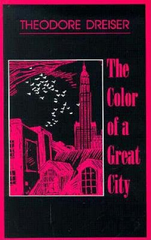 Książka Color of a Great City Theodore Dreiser