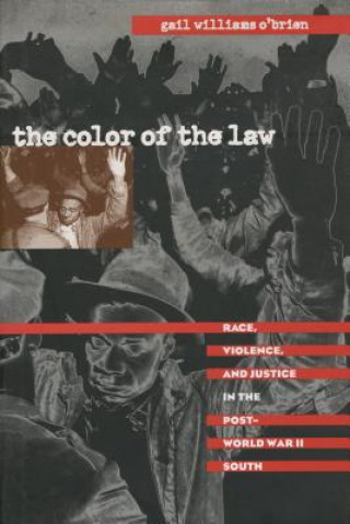 Kniha Color of the Law Gail Williams O'Brien