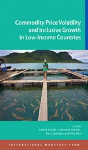 Kniha Commodity price volatility and inclusive growth in low-income countries Marc Quintyn