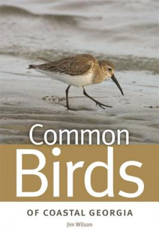 Knjiga Common Birds of Coastal Georgia Jim Wilson