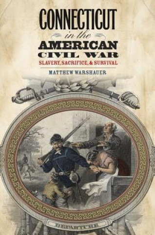 Book Connecticut in the American Civil War Matthew Warshauer